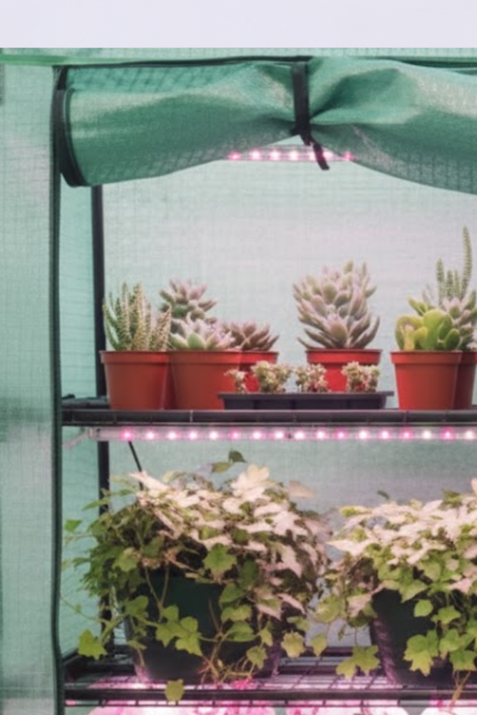 Image illustrates portable mini greenhouse.