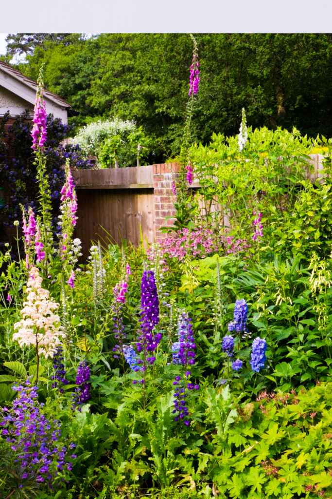 Image illustrates cottage gardening.