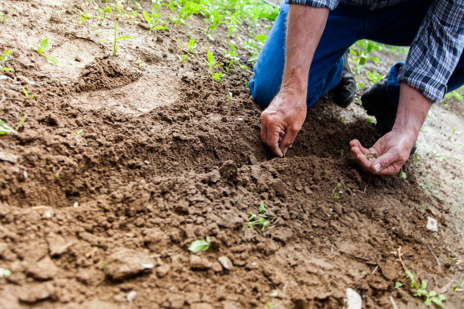 Illustration of a person gardening, cooking, and fixing things around the house to depict practical skills for self-sufficiency.